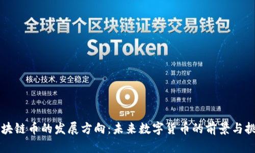 区块链币的发展方向：未来数字货币的前景与挑战