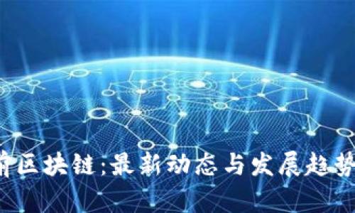  姚前区块链：最新动态与发展趋势分析