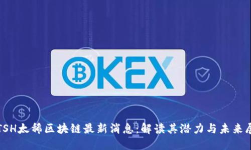 : TSH太稀区块链最新消息：解读其潜力与未来展望