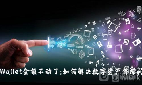 TPWallet金额不动了：如何解决数字资产停滞问题