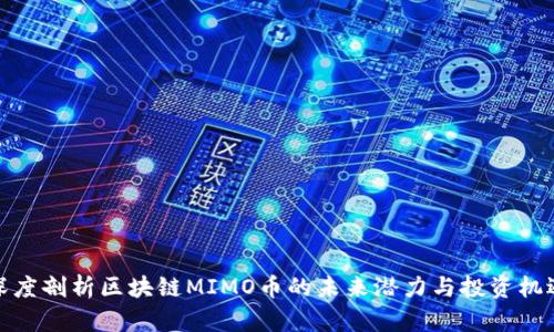 深度剖析区块链MIMO币的未来潜力与投资机遇
