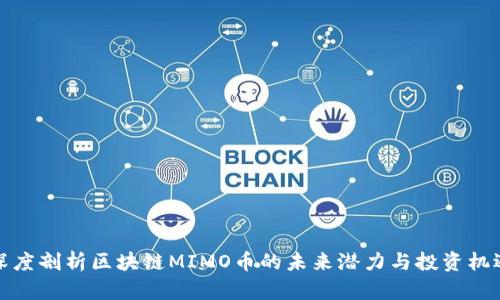 深度剖析区块链MIMO币的未来潜力与投资机遇
