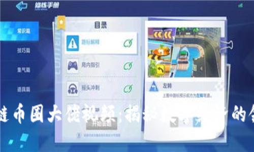 区块链币圈大佬视频：揭秘数字经济的领军者