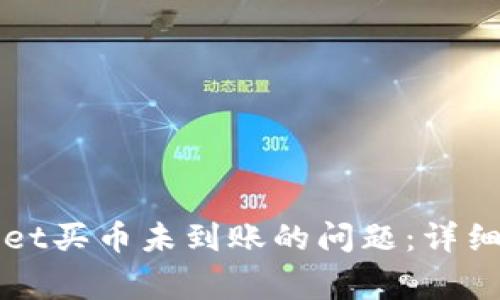 如何解决TPWallet买币未到账的问题：详细指南与常见问答