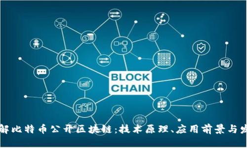 深入了解比特币公开区块链：技术原理、应用前景与发展挑战