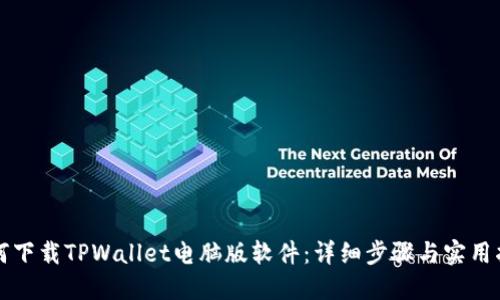 如何下载TPWallet电脑版软件：详细步骤与实用指南