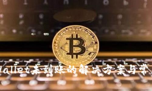 提币到TPWallet未到账的解决方案与常见问题分析