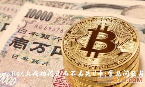 如何在tpwallet上成功闪兑而不丢失U币：常见问题与解决方案